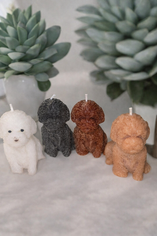 LOT X 2 BOUGIES CHIEN - sans parfum