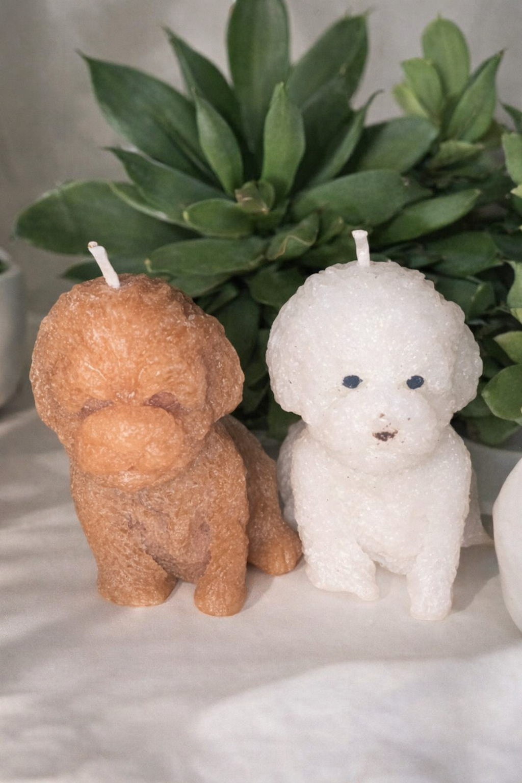 LOT X 2 BOUGIES CHIEN - sans parfum