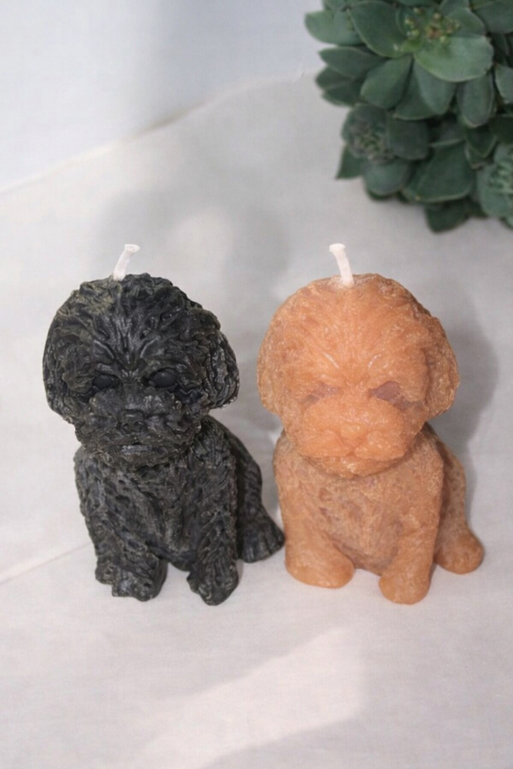 LOT X 2 BOUGIES CHIEN - sans parfum