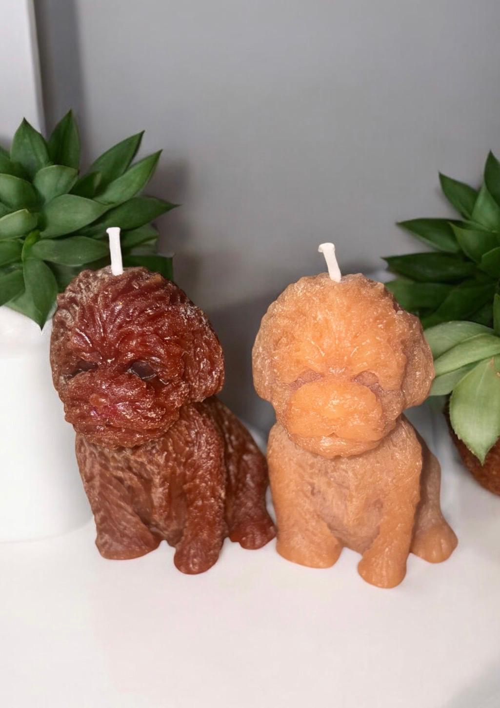 LOT X 2 BOUGIES CHIEN - sans parfum